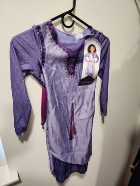 Disney Wish Costume